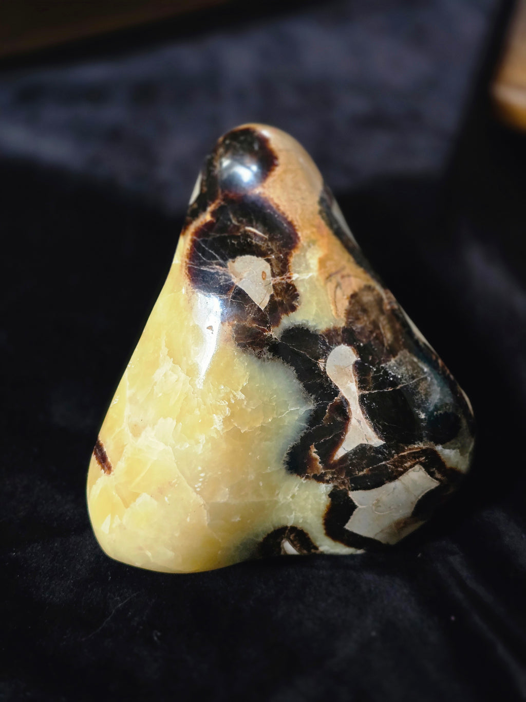 Septarian Freeform Crystal 5.5"