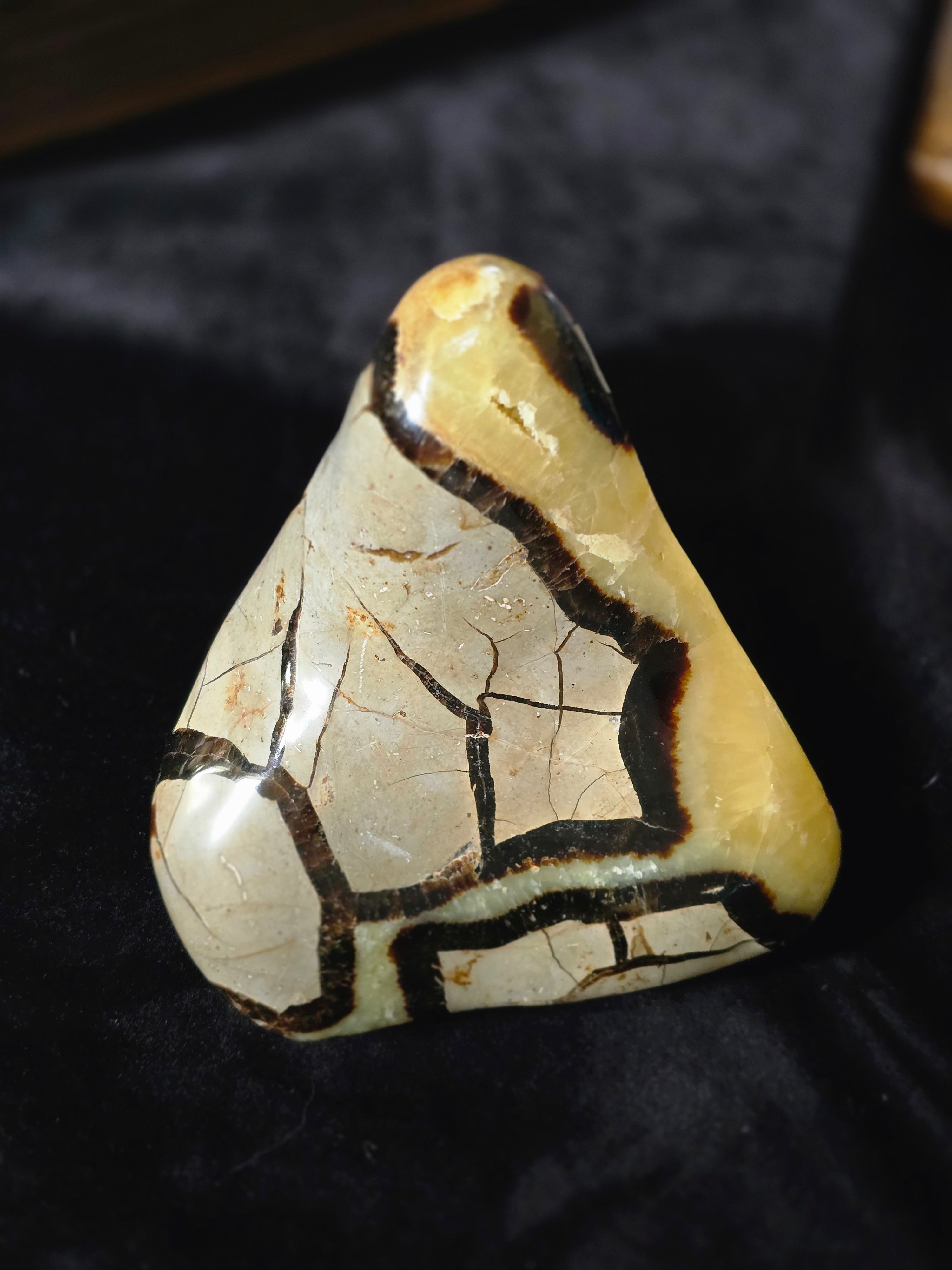 Septarian Freeform Crystal 5.5"