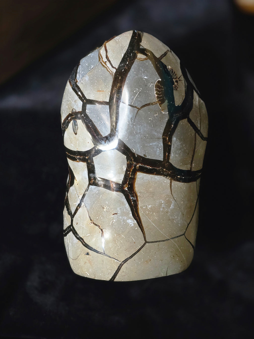 Rare Septarian w/ NO Yellow Calcite Inclusions