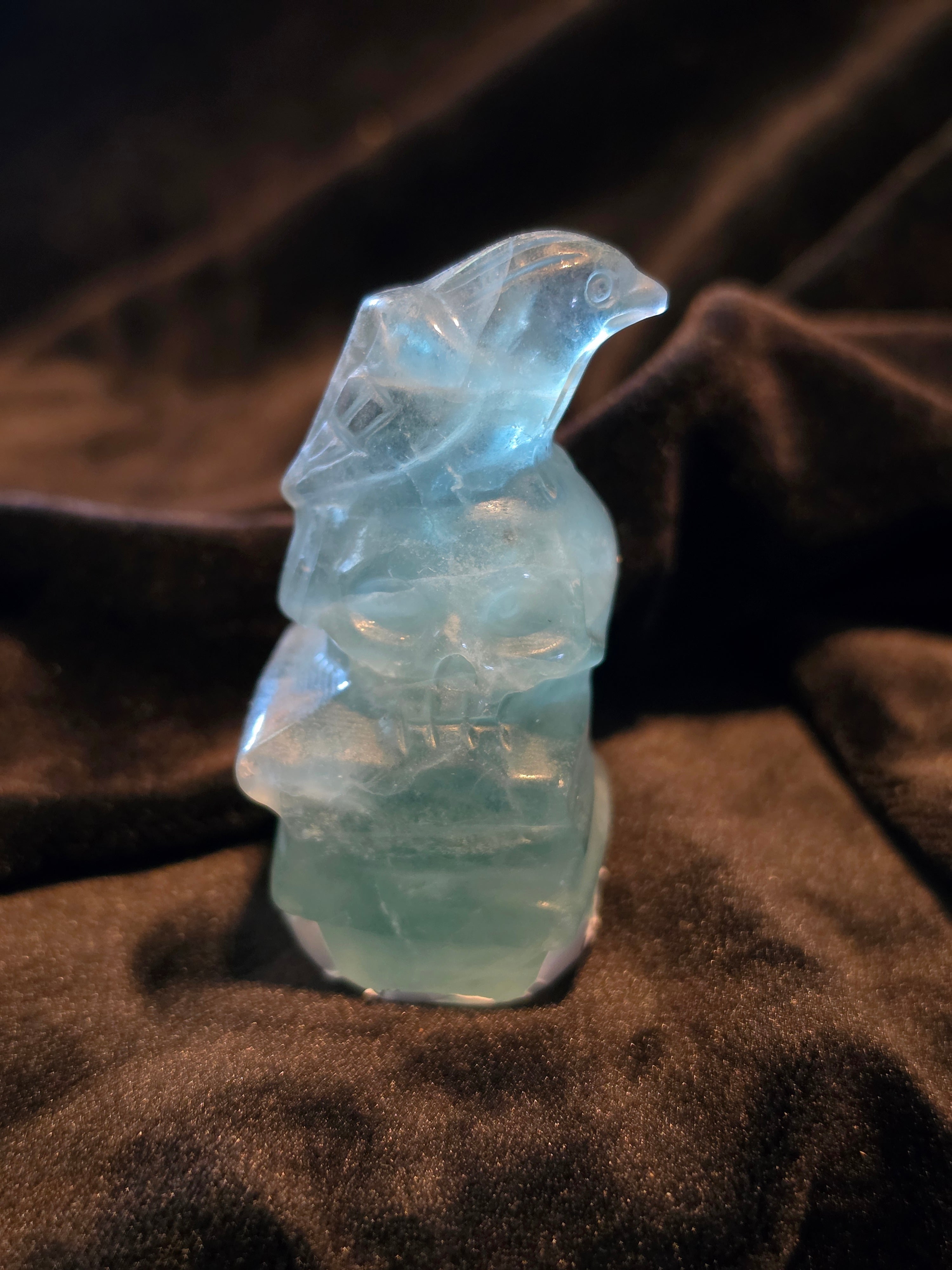 Crystal Skull with Crow on Books