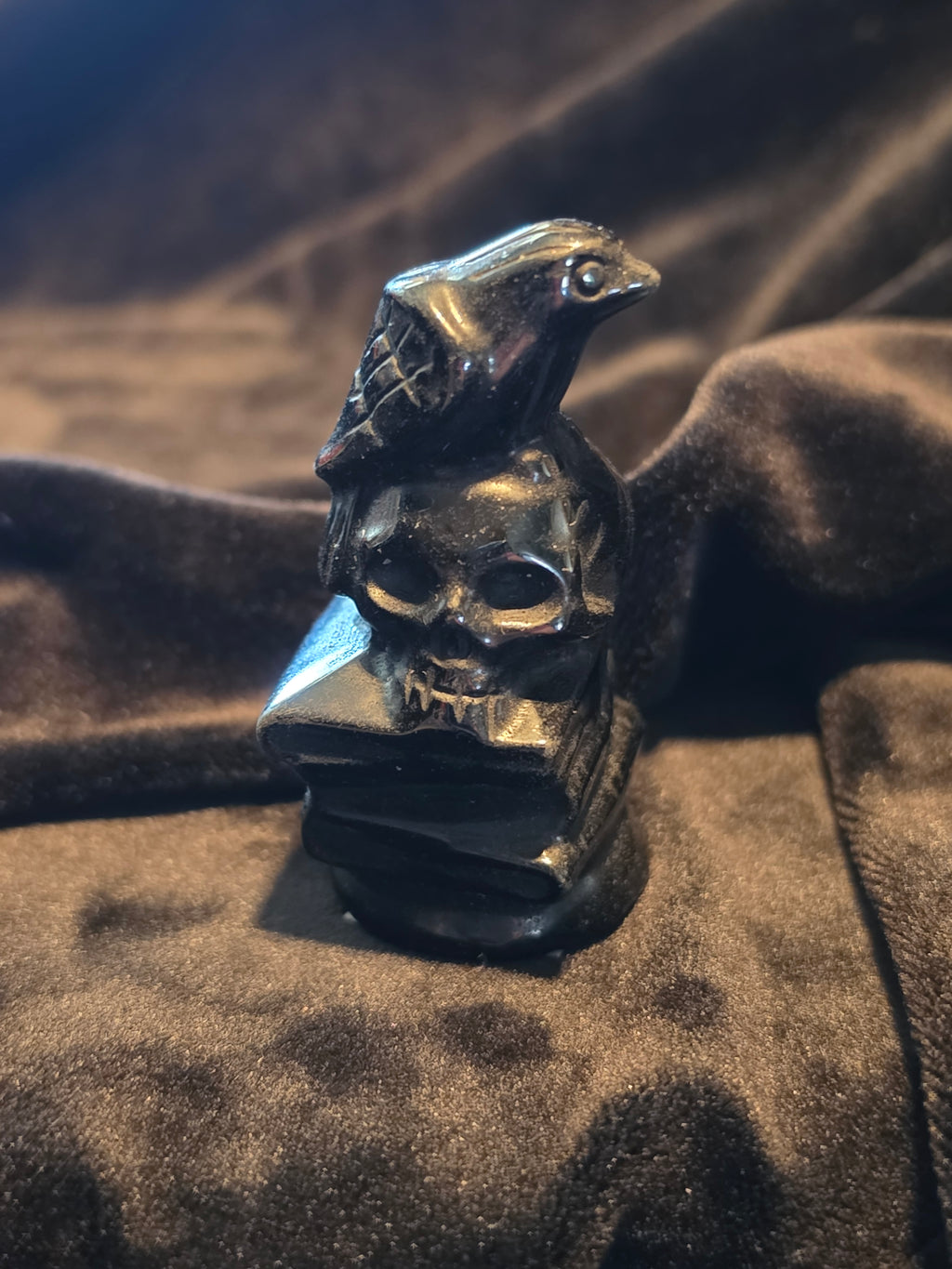 Crystal Skull with Crow on Books