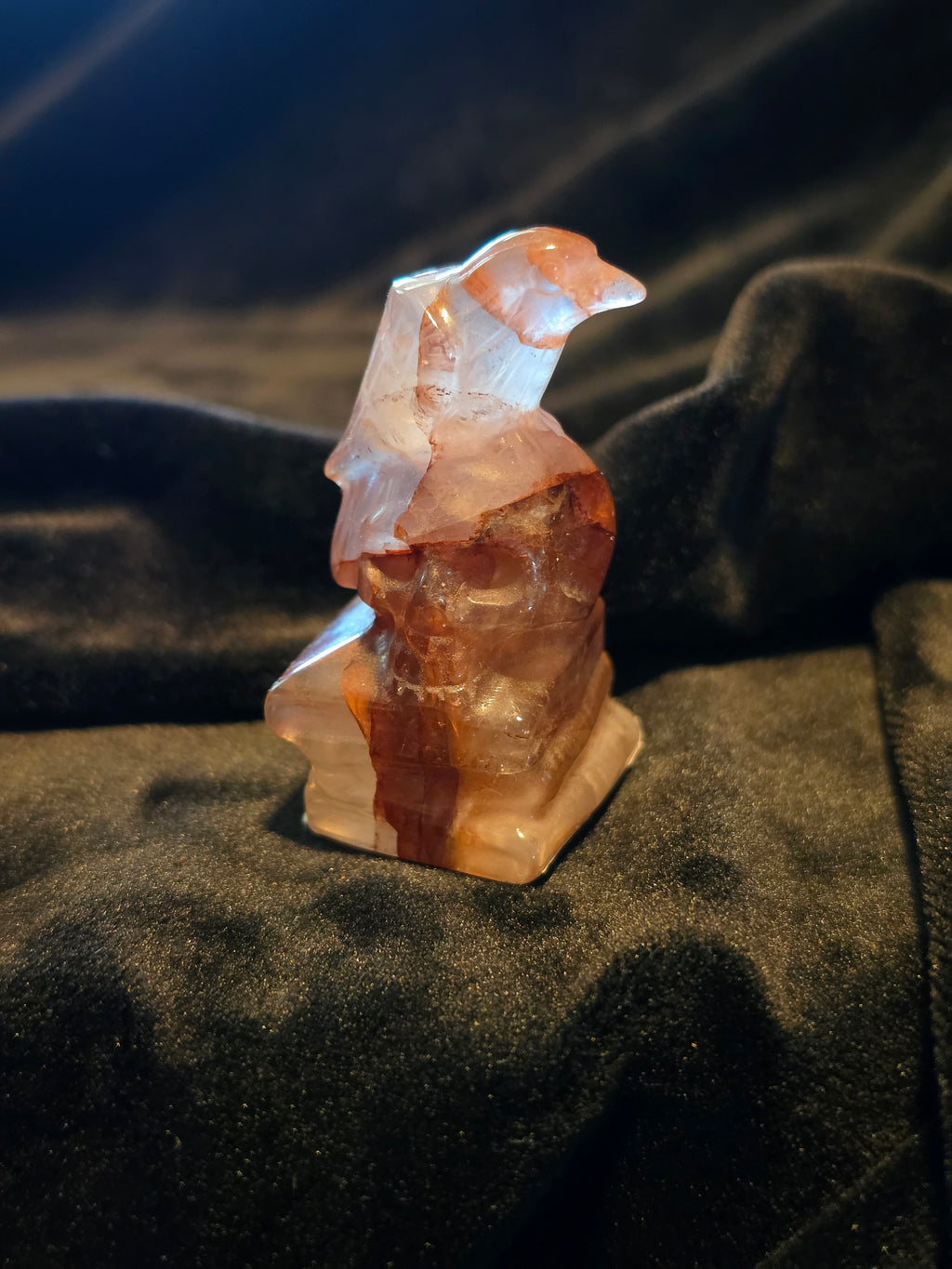 Crystal Skull with Crow on Books