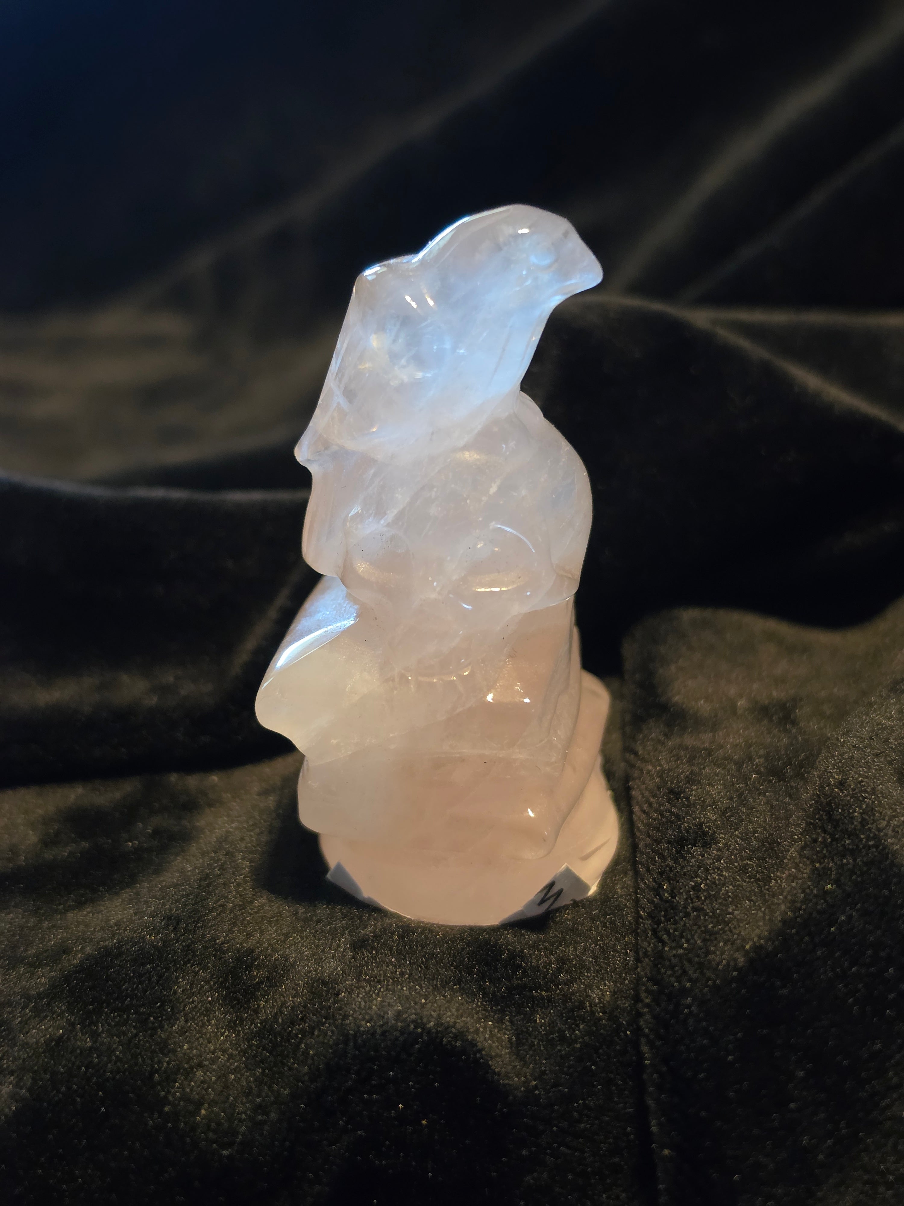 Crystal Skull with Crow on Books
