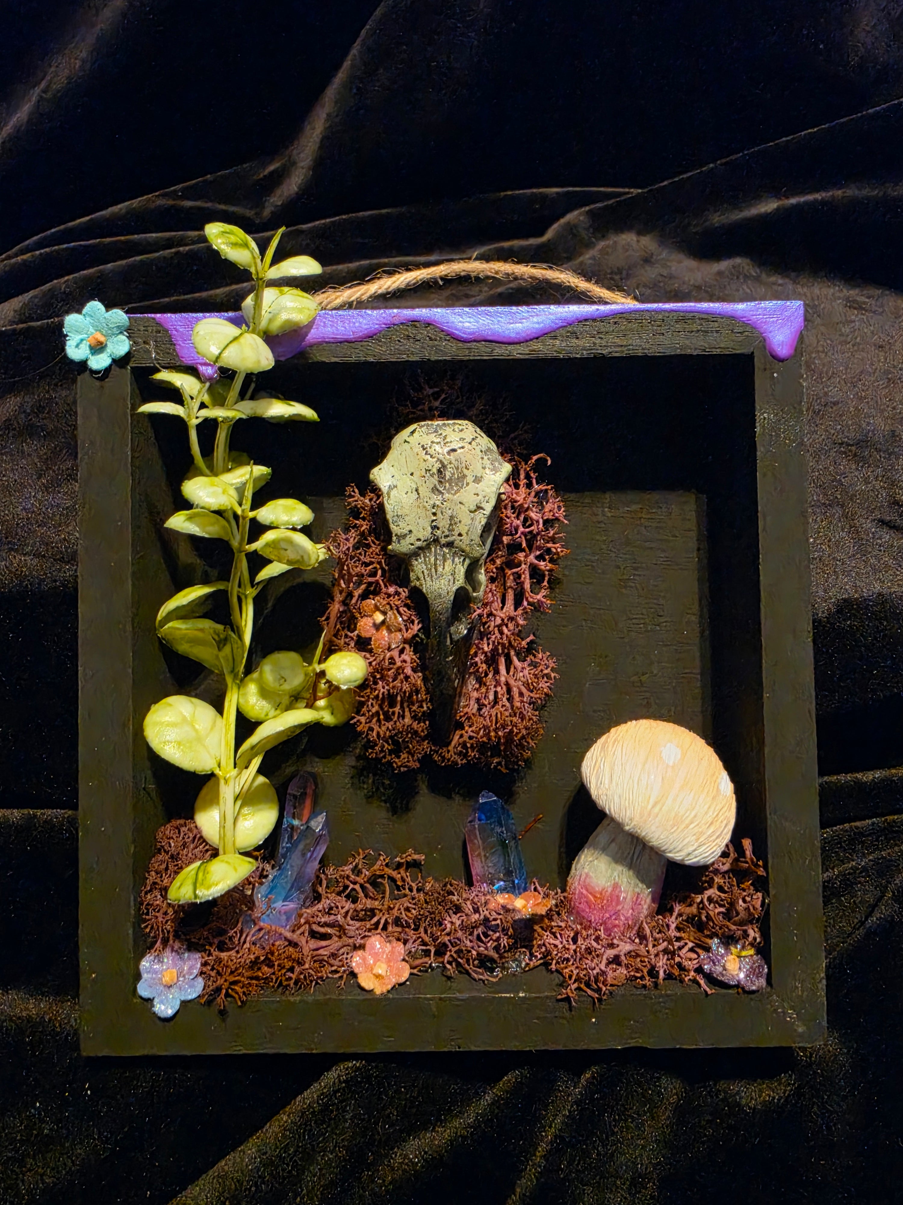 Shadow Boxes