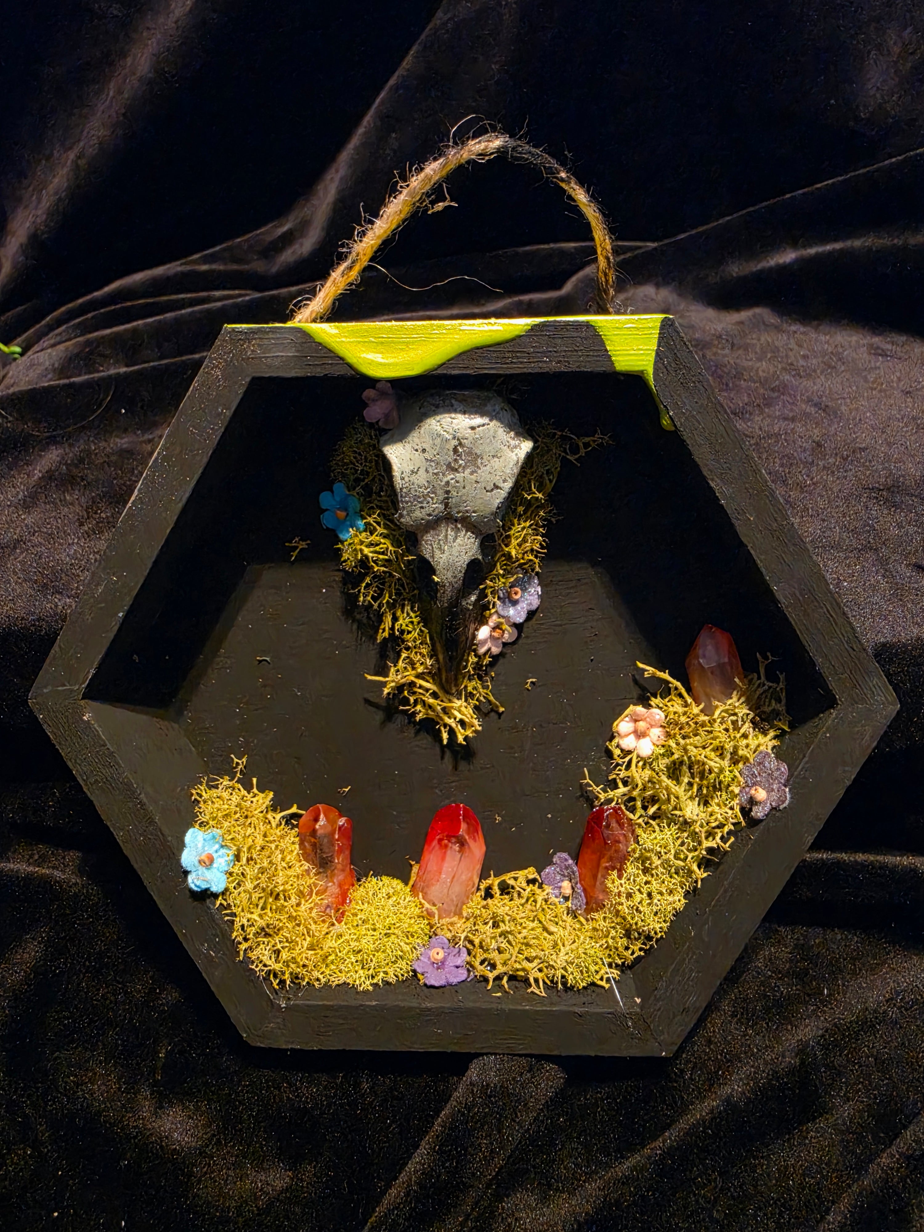 Shadow Boxes