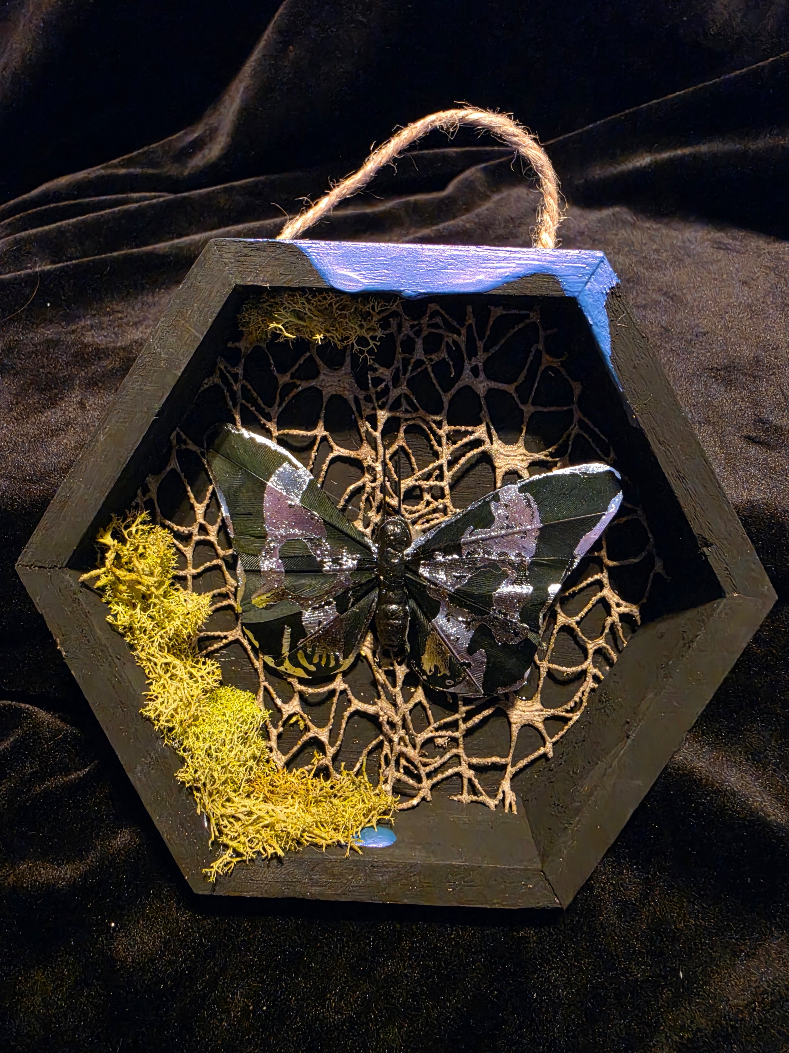Shadow Boxes