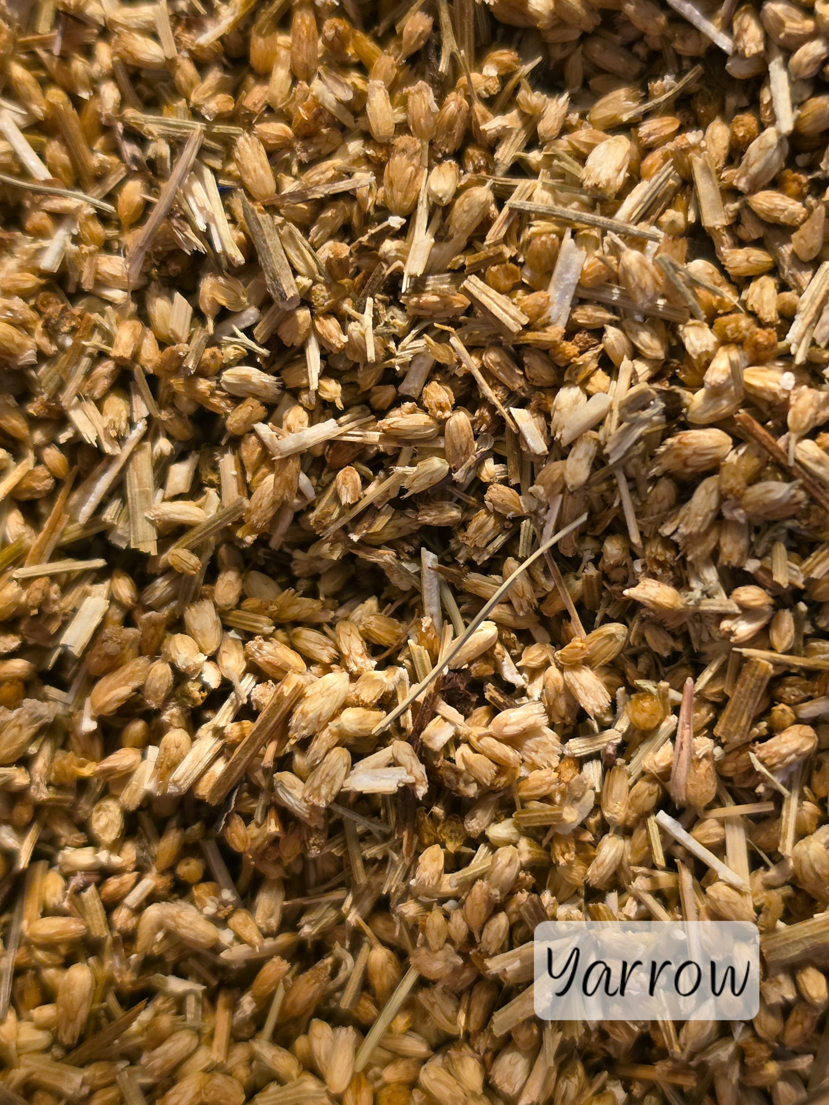 Individual Herbs