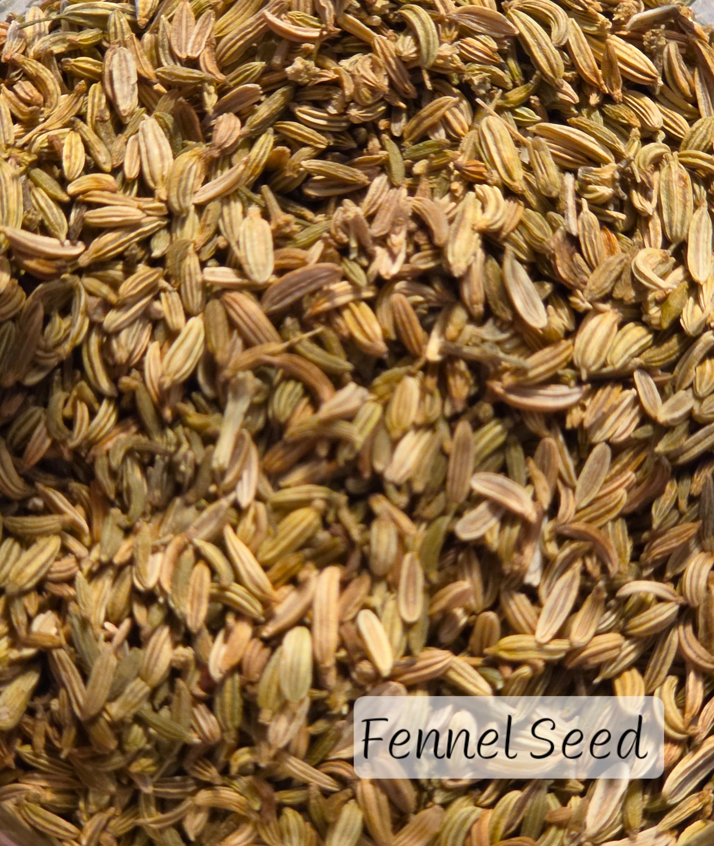 Individual Herbs