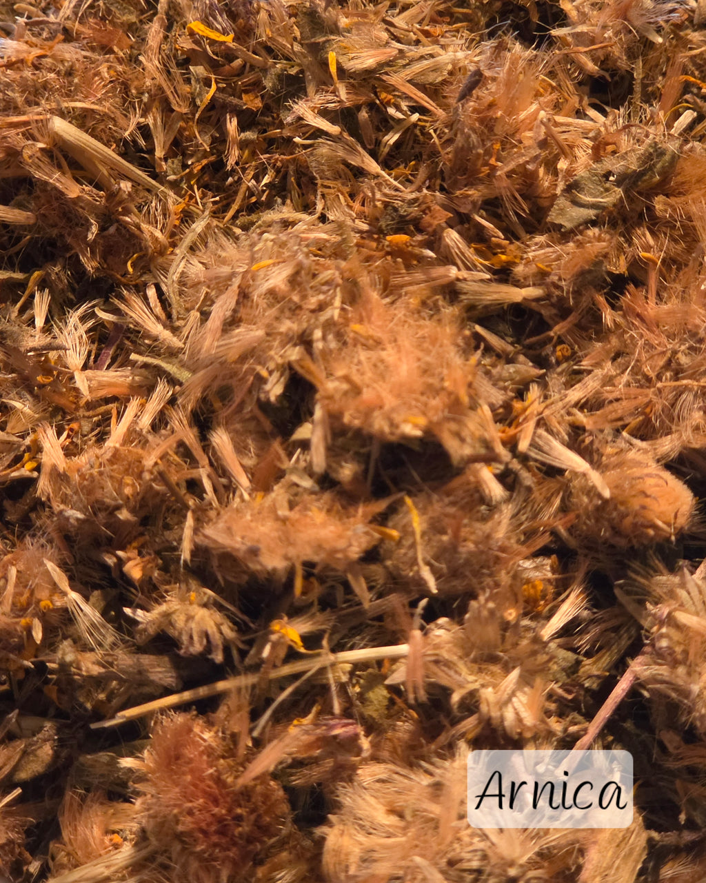 Individual Herbs