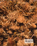 Individual Herbs