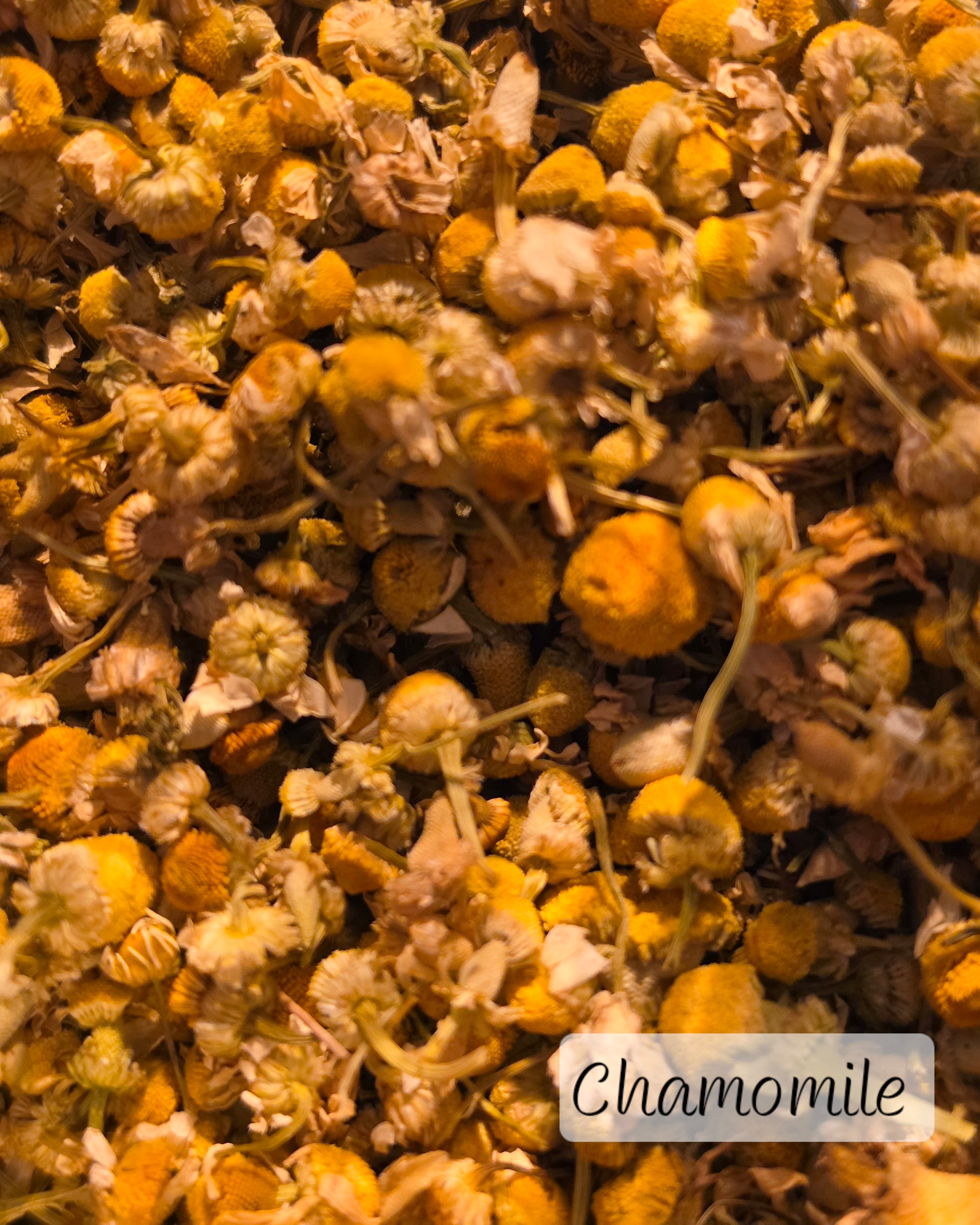 Individual Herbs