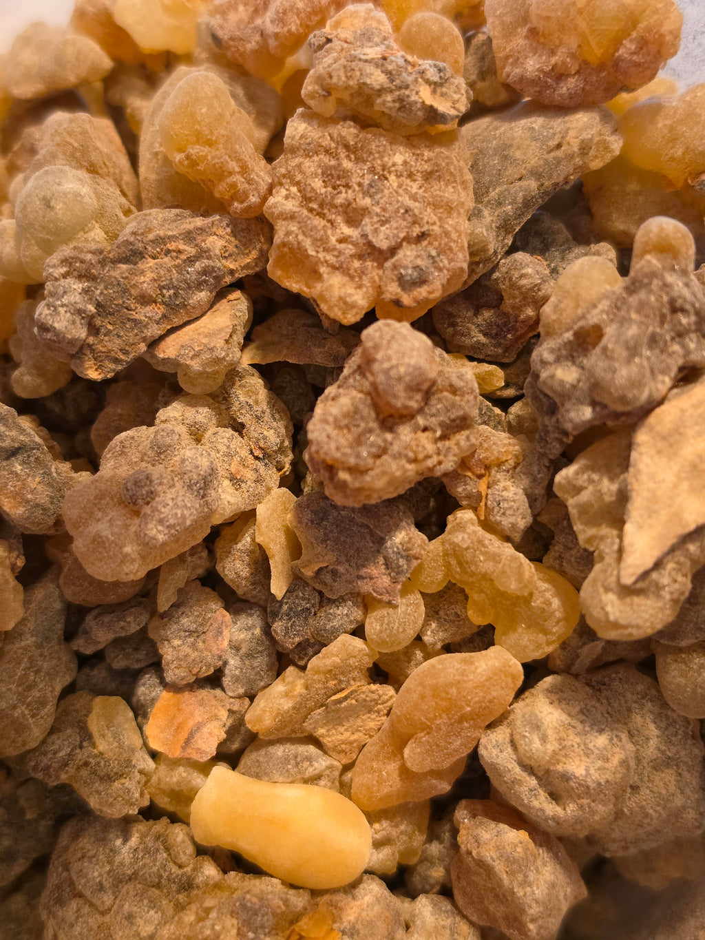 Individual Herbs
