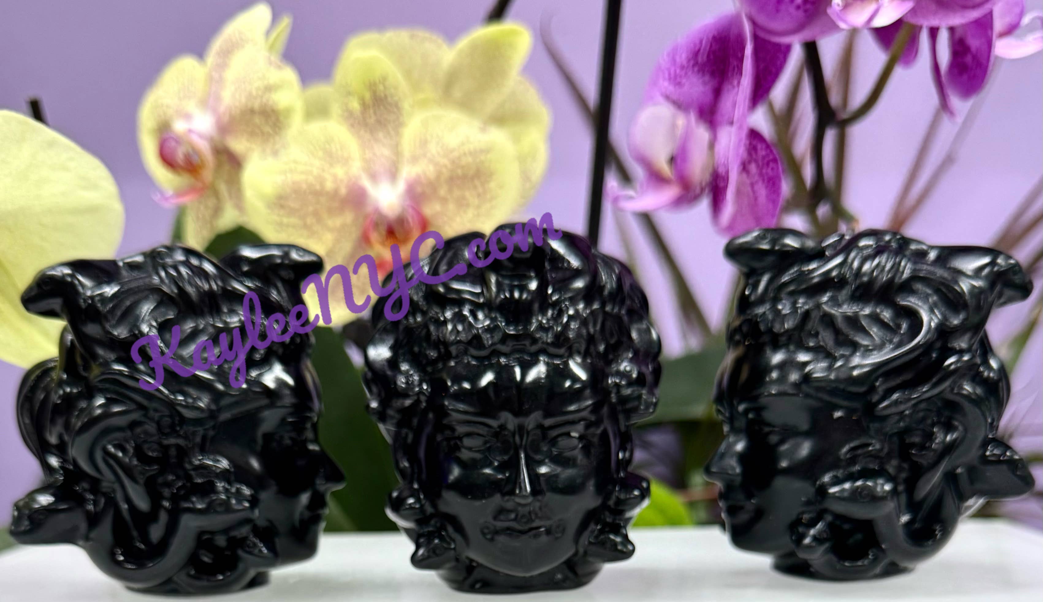 Medusa Head