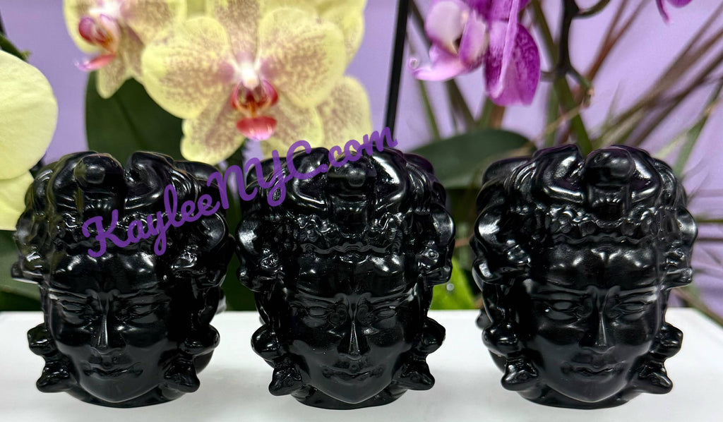 Medusa Head