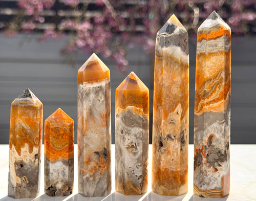 Bumblebee Jasper