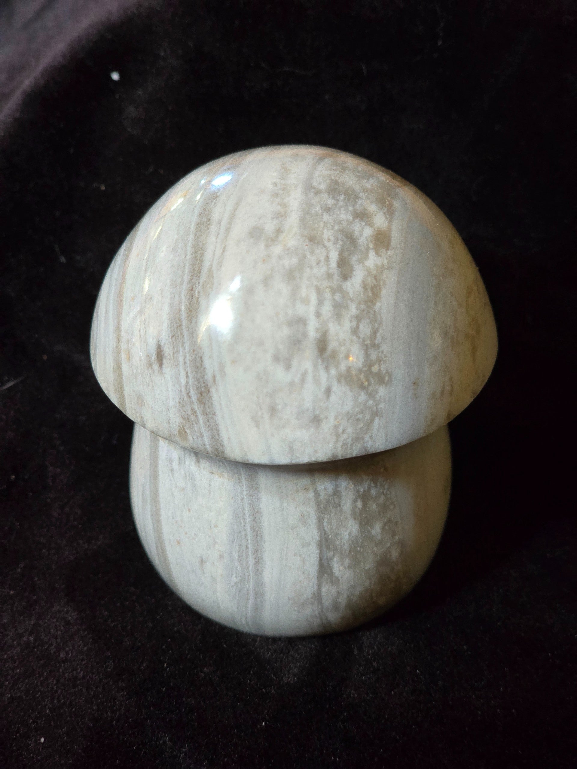 Crystal Mushies