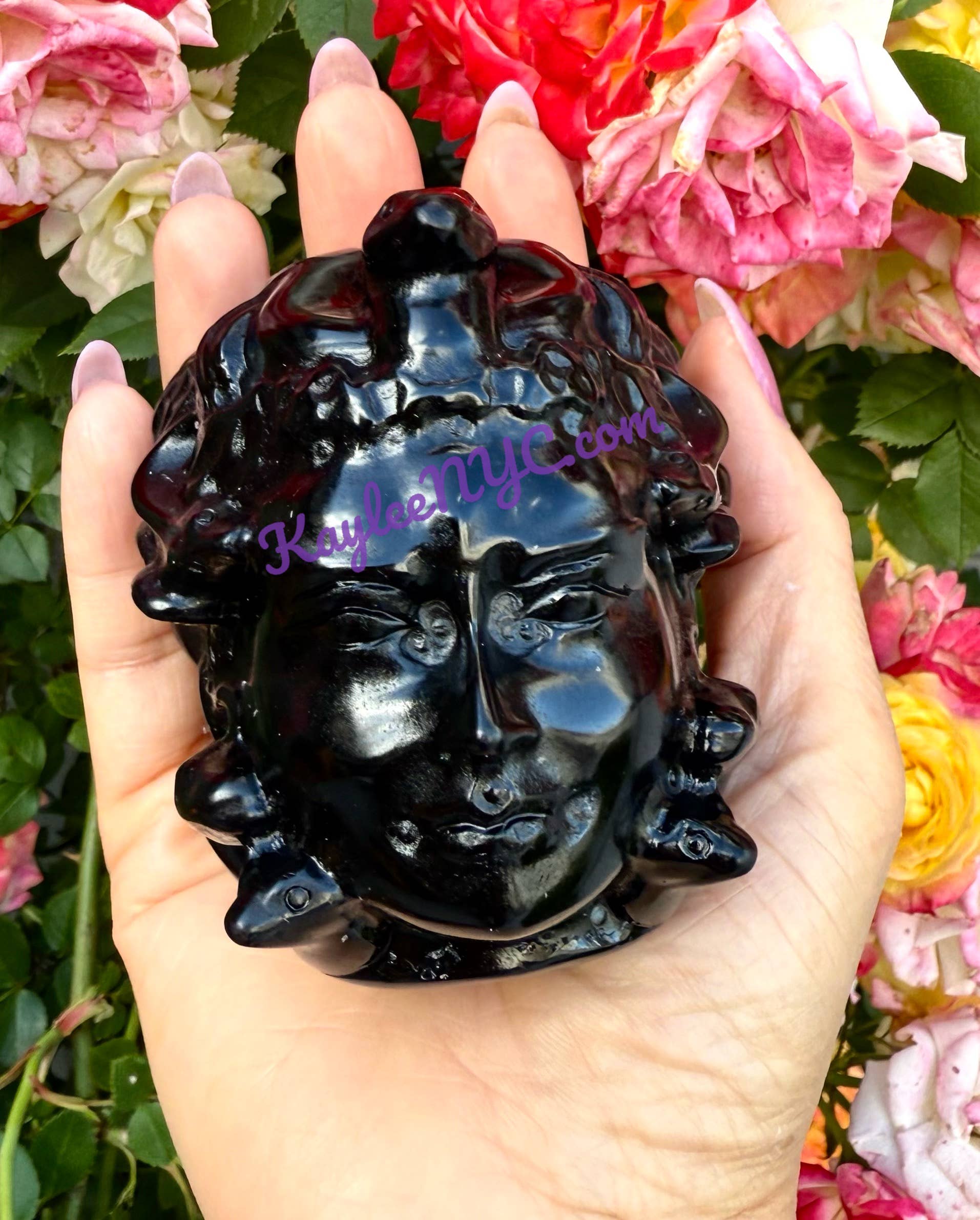 Medusa Head