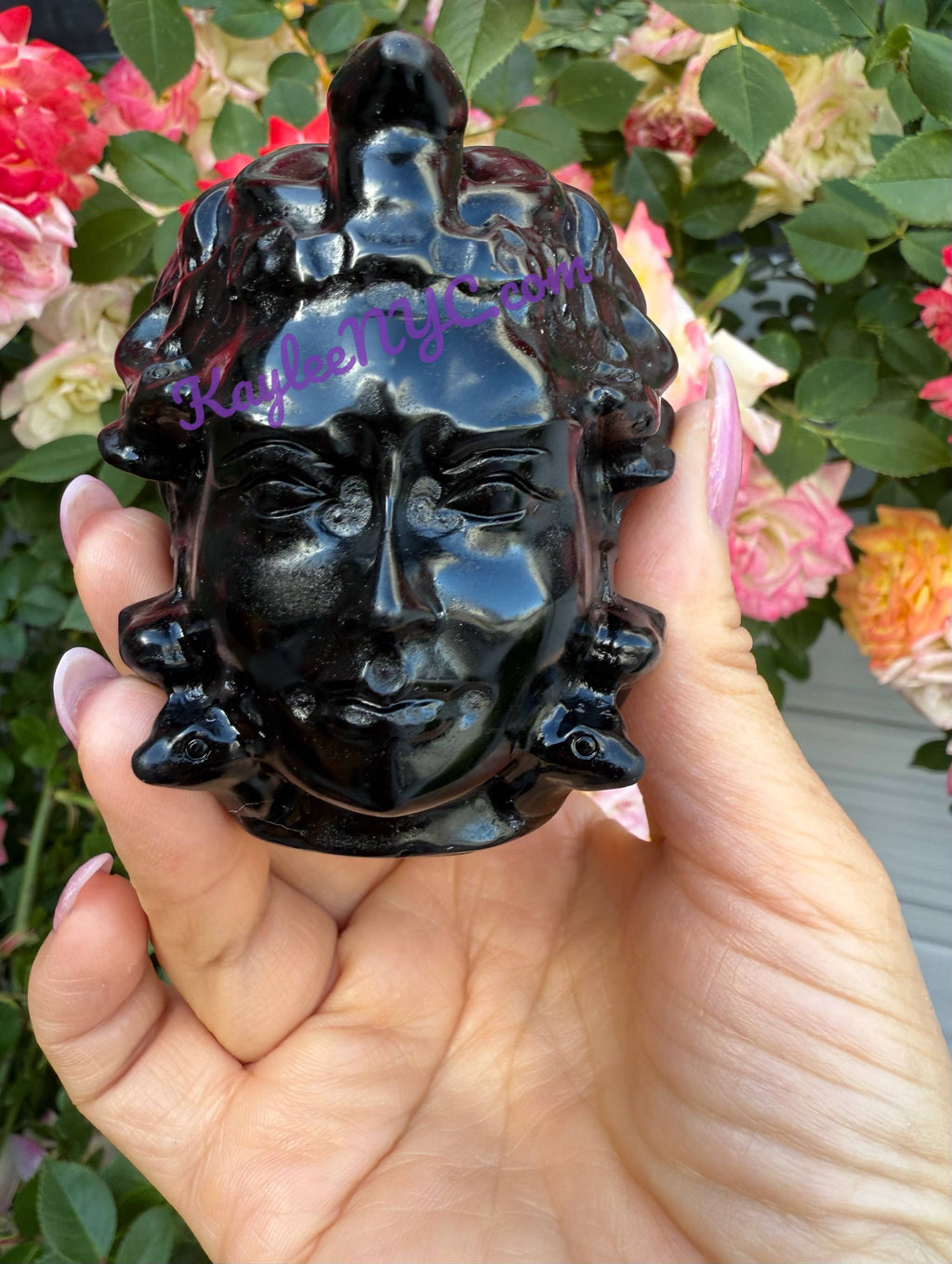 Medusa Head