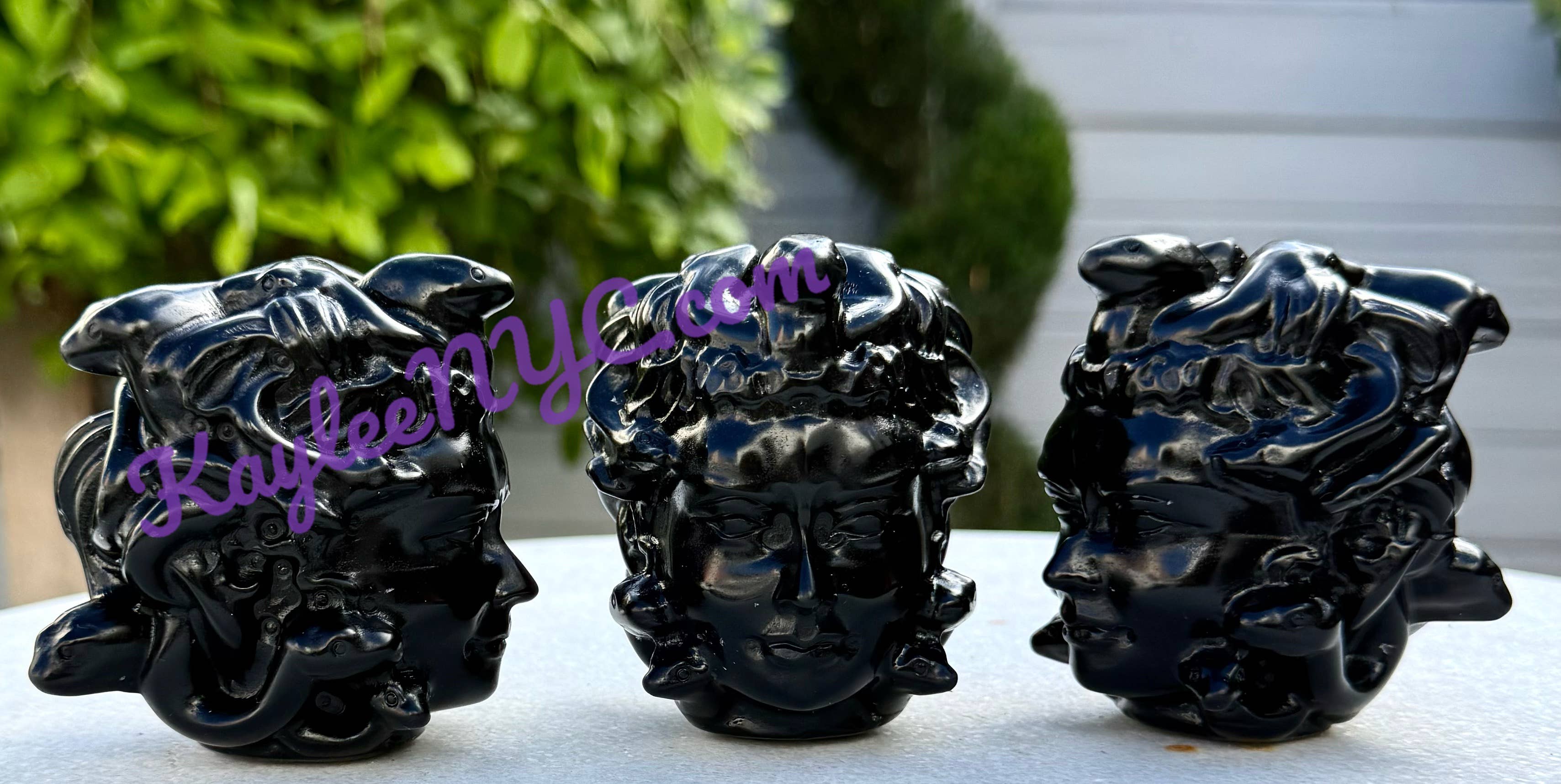 Medusa Head